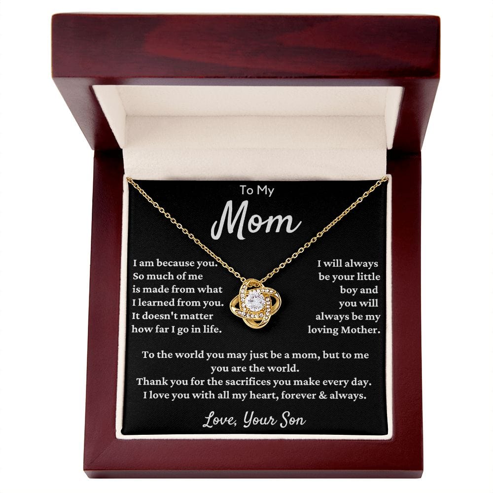 Gift For Mom From Son - I Am Because Of You...